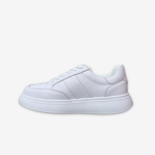 SNEAKERS SALVIANO